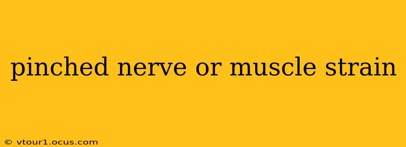 pinched nerve or muscle strain