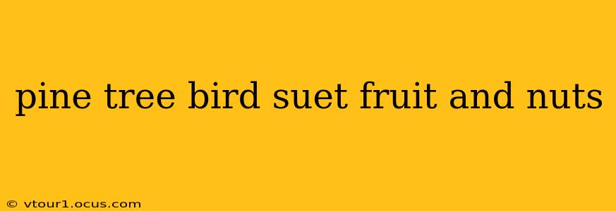 pine tree bird suet fruit and nuts