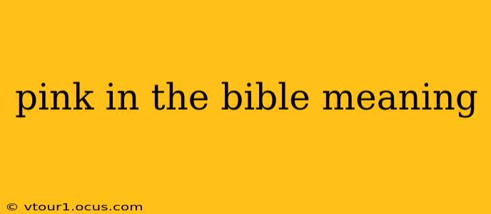 pink in the bible meaning