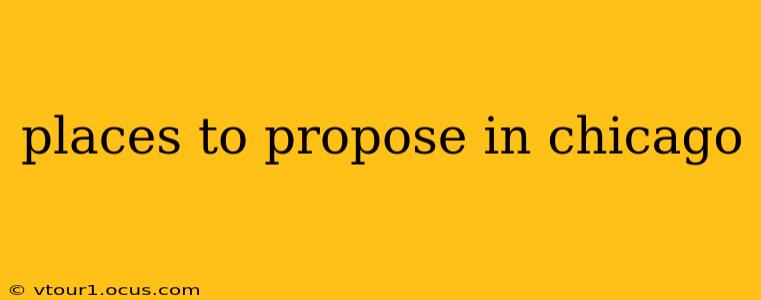 places to propose in chicago