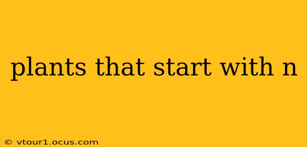 plants that start with n