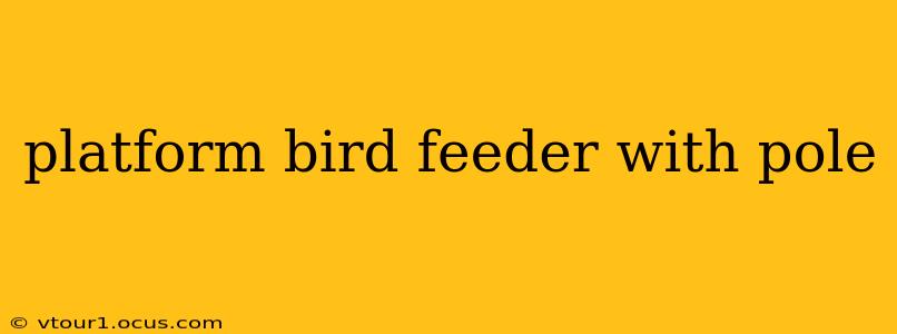 platform bird feeder with pole