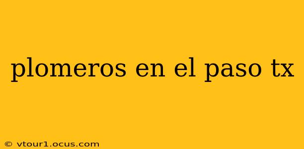 plomeros en el paso tx