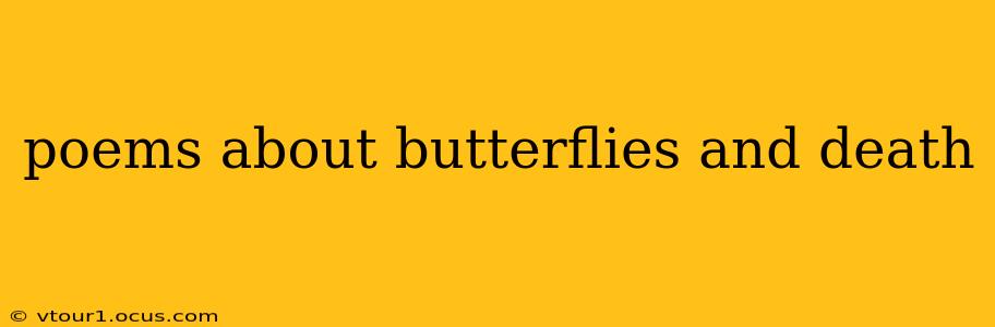 poems about butterflies and death