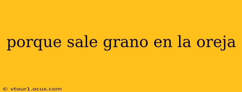 porque sale grano en la oreja