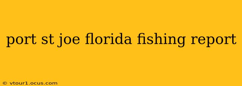port st joe florida fishing report