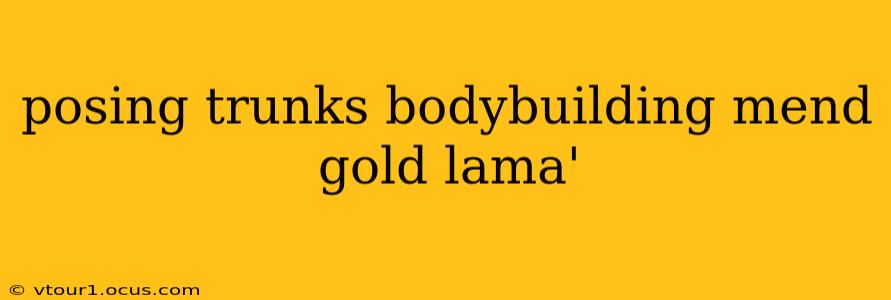 posing trunks bodybuilding mend gold lama'