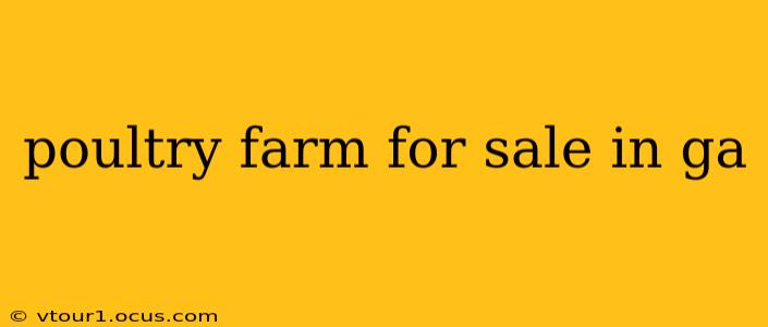 poultry farm for sale in ga
