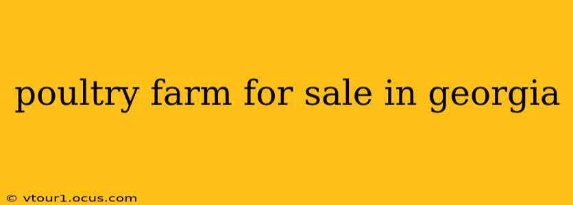 poultry farm for sale in georgia