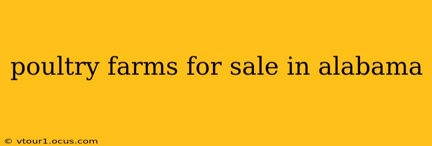 poultry farms for sale in alabama