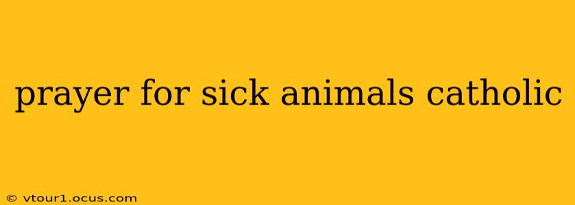 prayer for sick animals catholic