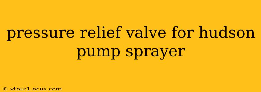 pressure relief valve for hudson pump sprayer