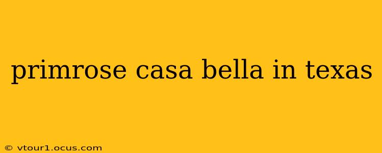 primrose casa bella in texas