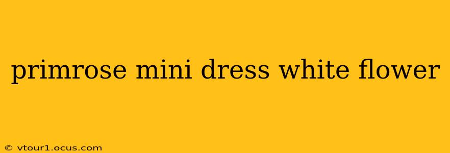 primrose mini dress white flower
