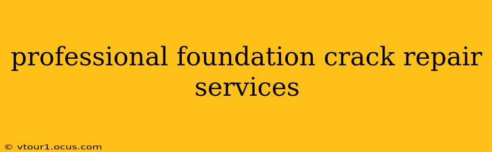 professional foundation crack repair services