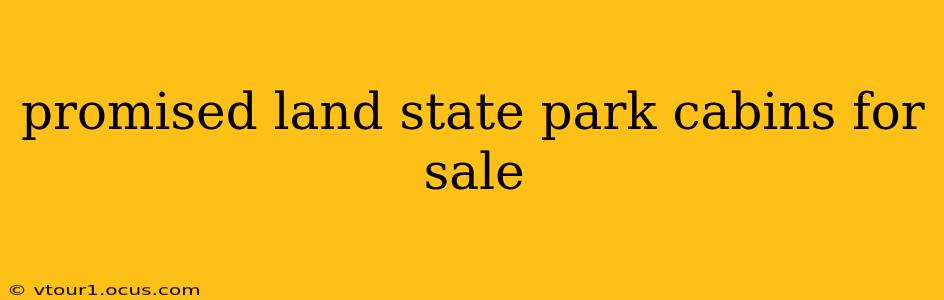 promised land state park cabins for sale