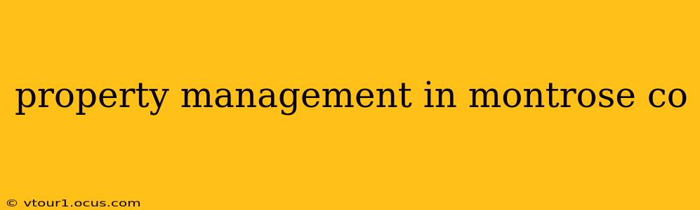 property management in montrose co