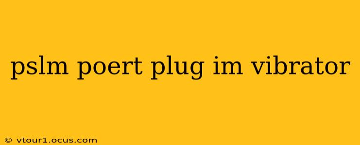 pslm poert plug im vibrator