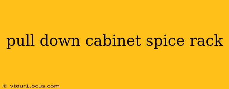 pull down cabinet spice rack