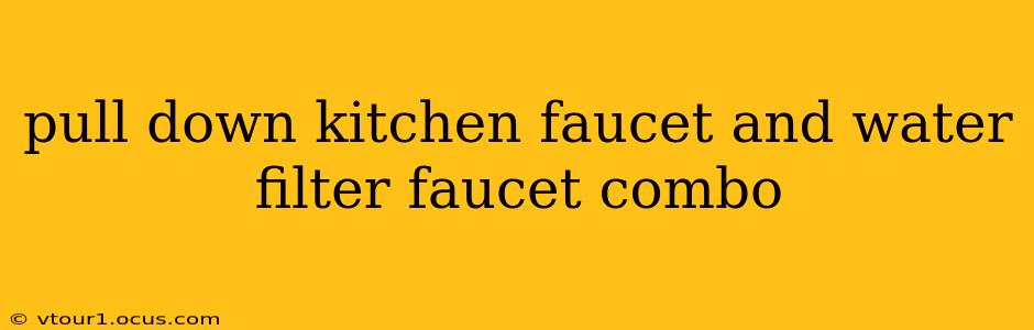 pull down kitchen faucet and water filter faucet combo