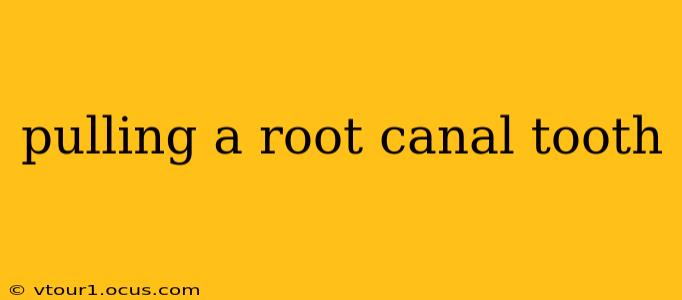 pulling a root canal tooth