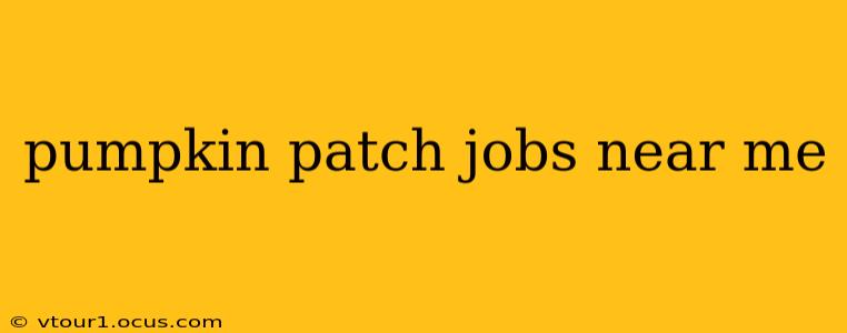 pumpkin patch jobs near me