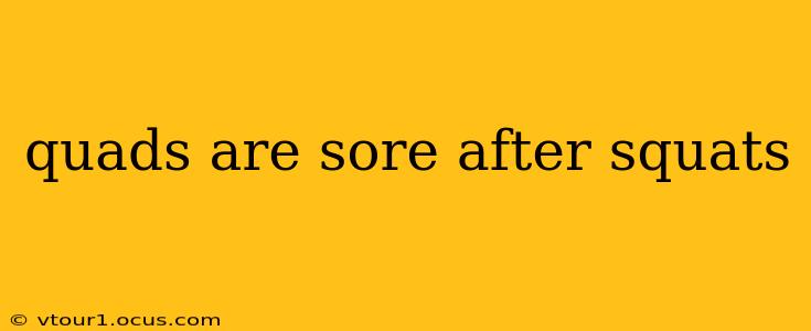 quads are sore after squats