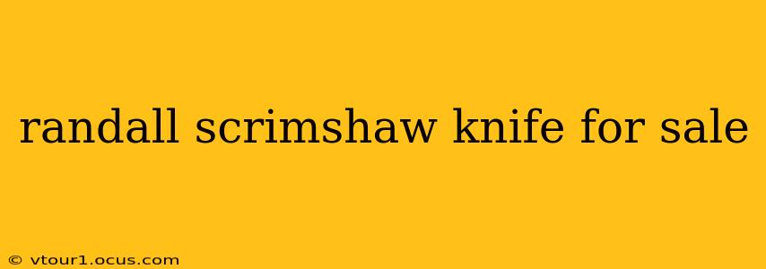 randall scrimshaw knife for sale