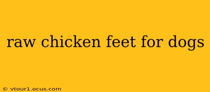 raw chicken feet for dogs
