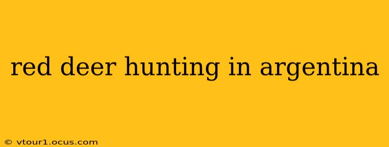 red deer hunting in argentina