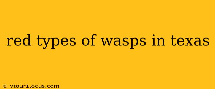 red types of wasps in texas