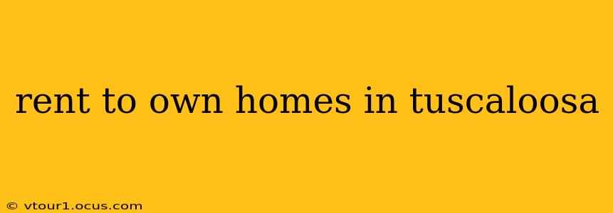 rent to own homes in tuscaloosa