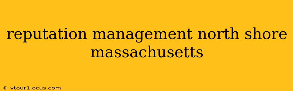 reputation management north shore massachusetts