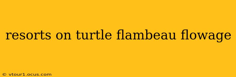 resorts on turtle flambeau flowage