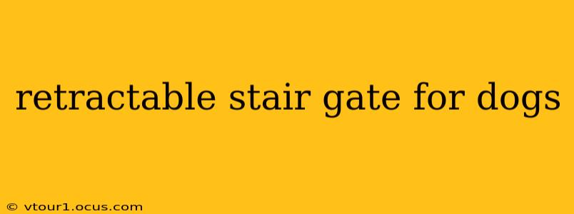 retractable stair gate for dogs