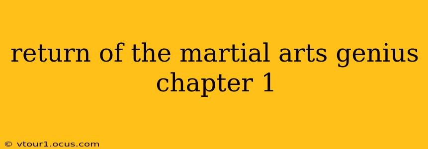 return of the martial arts genius chapter 1