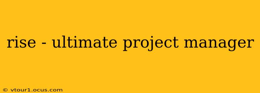 rise - ultimate project manager