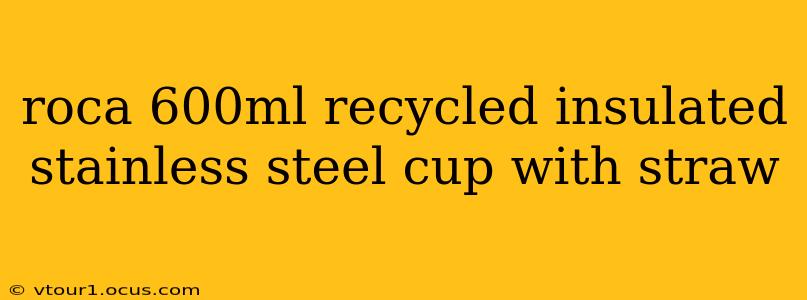 roca 600ml recycled insulated stainless steel cup with straw