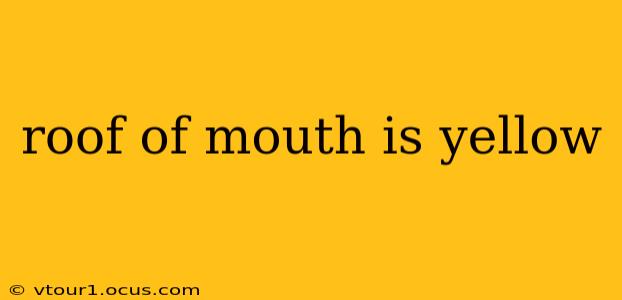 roof of mouth is yellow
