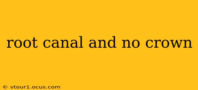 root canal and no crown