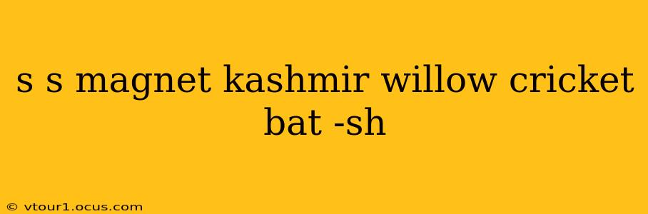 s s magnet kashmir willow cricket bat -sh