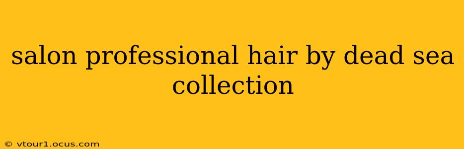 salon professional hair by dead sea collection
