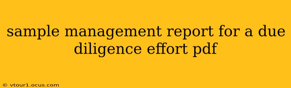 sample management report for a due diligence effort pdf