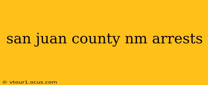 san juan county nm arrests