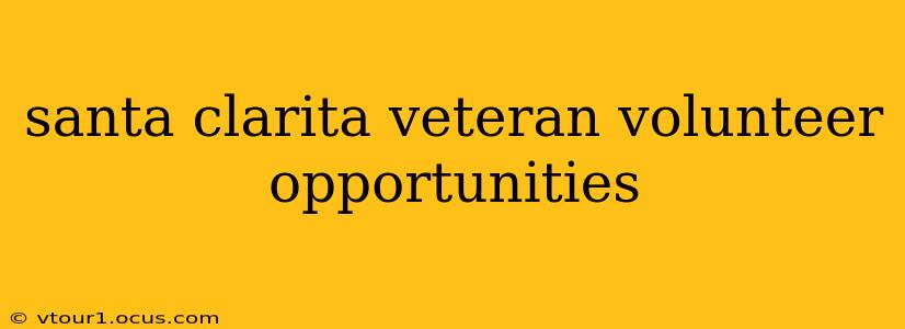 santa clarita veteran volunteer opportunities