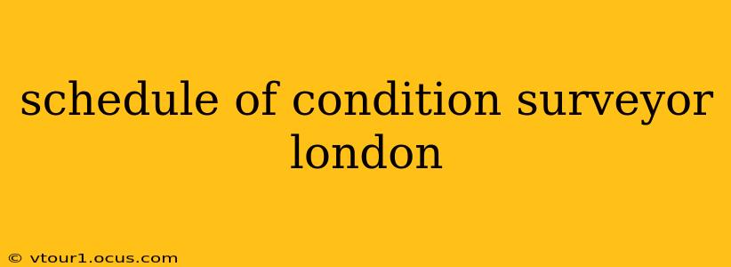 schedule of condition surveyor london