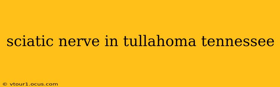 sciatic nerve in tullahoma tennessee
