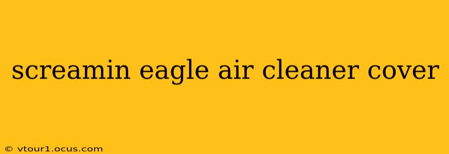 screamin eagle air cleaner cover