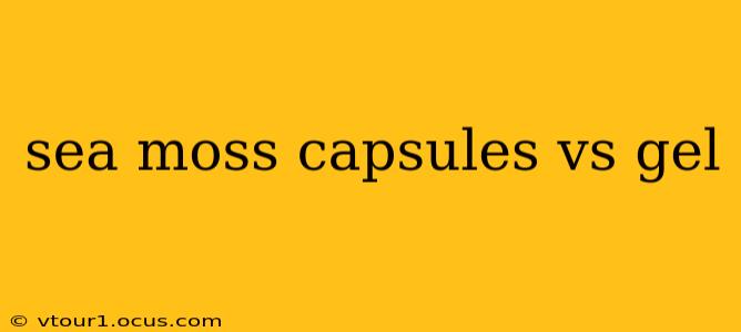 sea moss capsules vs gel