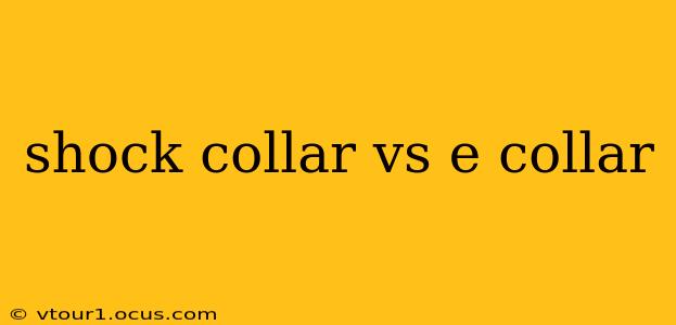 shock collar vs e collar